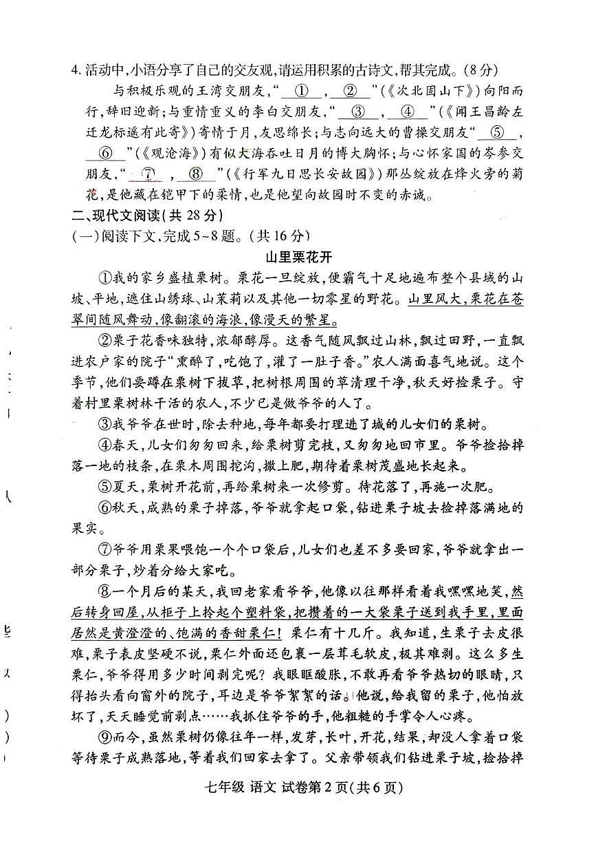 河南省洛阳市伊滨区期中联考2025-2026学年七年级上学期11月期中语文试题第2页