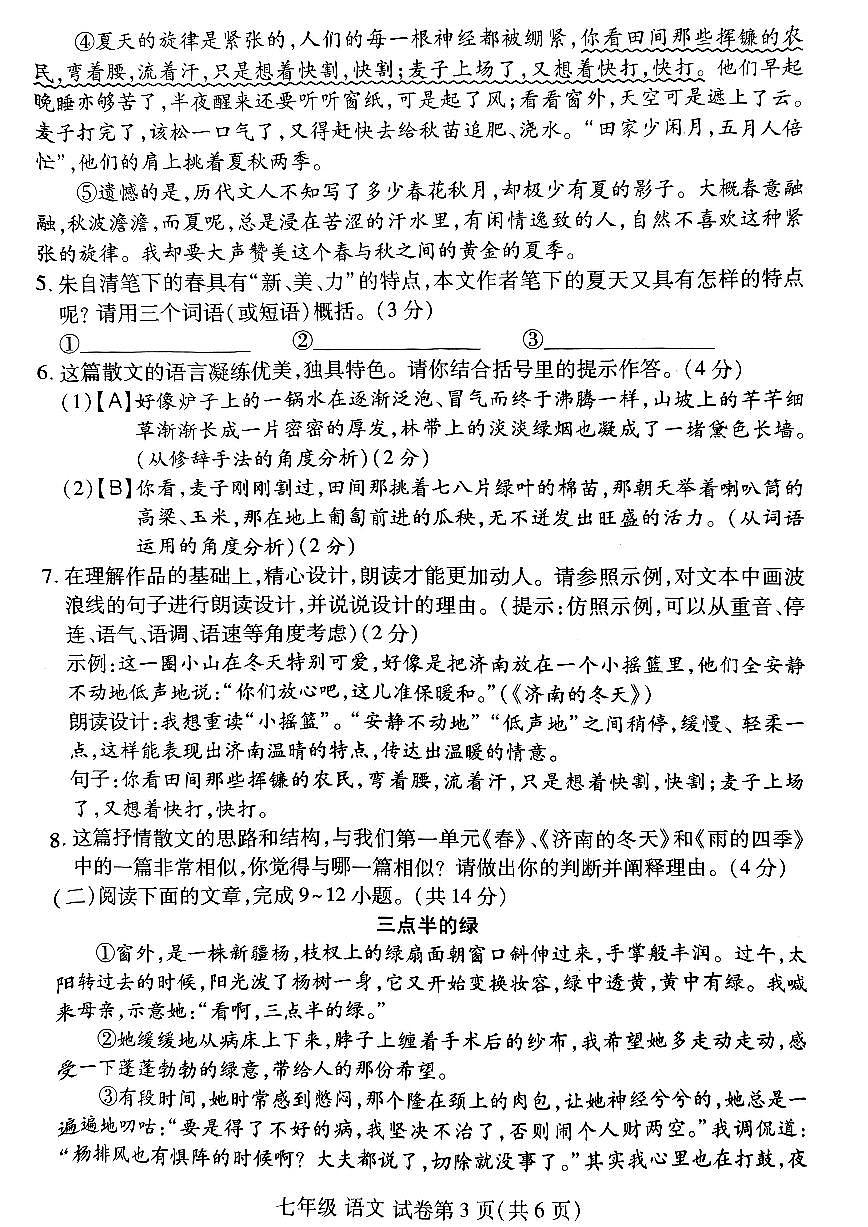 河南省洛阳市洛龙区2025-2026学年七年级上学期期中语文试卷及答案第3页