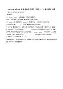 2025-2026学年广东省茂名市化州市九年级（上）期中语文试卷-自定义类型