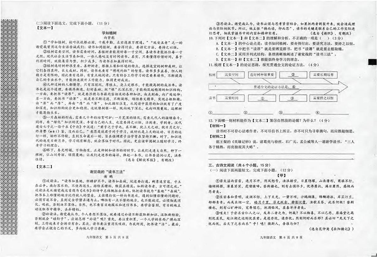 河南省信阳市平桥区2025-2026学年上期期中测试九年级语文试卷及答题卡第3页
