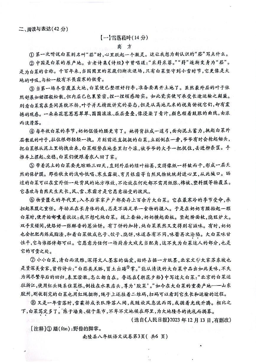 安徽省芜湖市南陵县2024-2025学年八年级上学期1月期末语文试题第3页