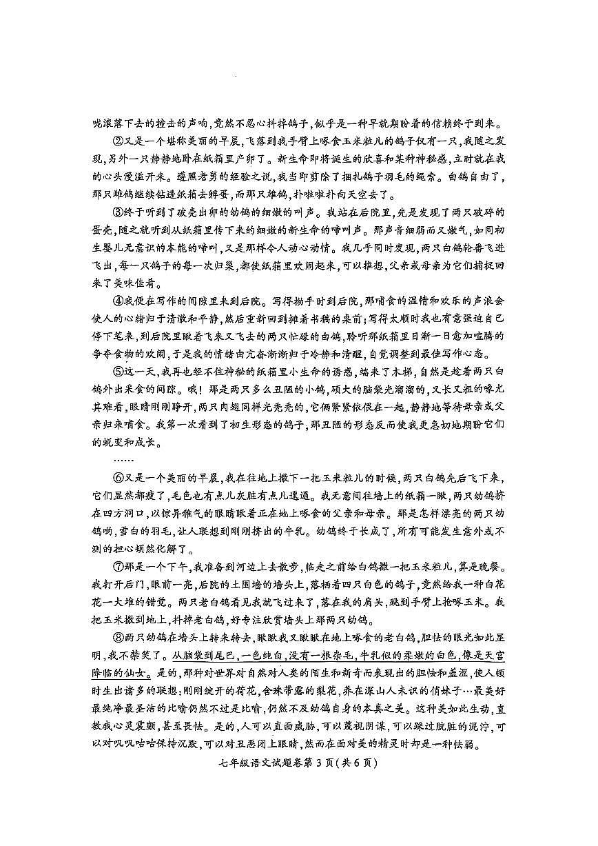 安徽省淮北市2024-2025学年七年级上学期1月期末语文试卷第3页