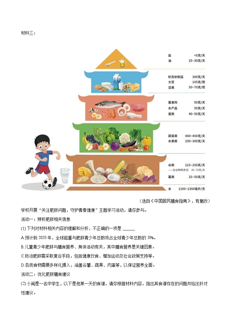 2025-2026学年福建省泉州市石狮市九年级（上）期中语文试卷-自定义类型第3页