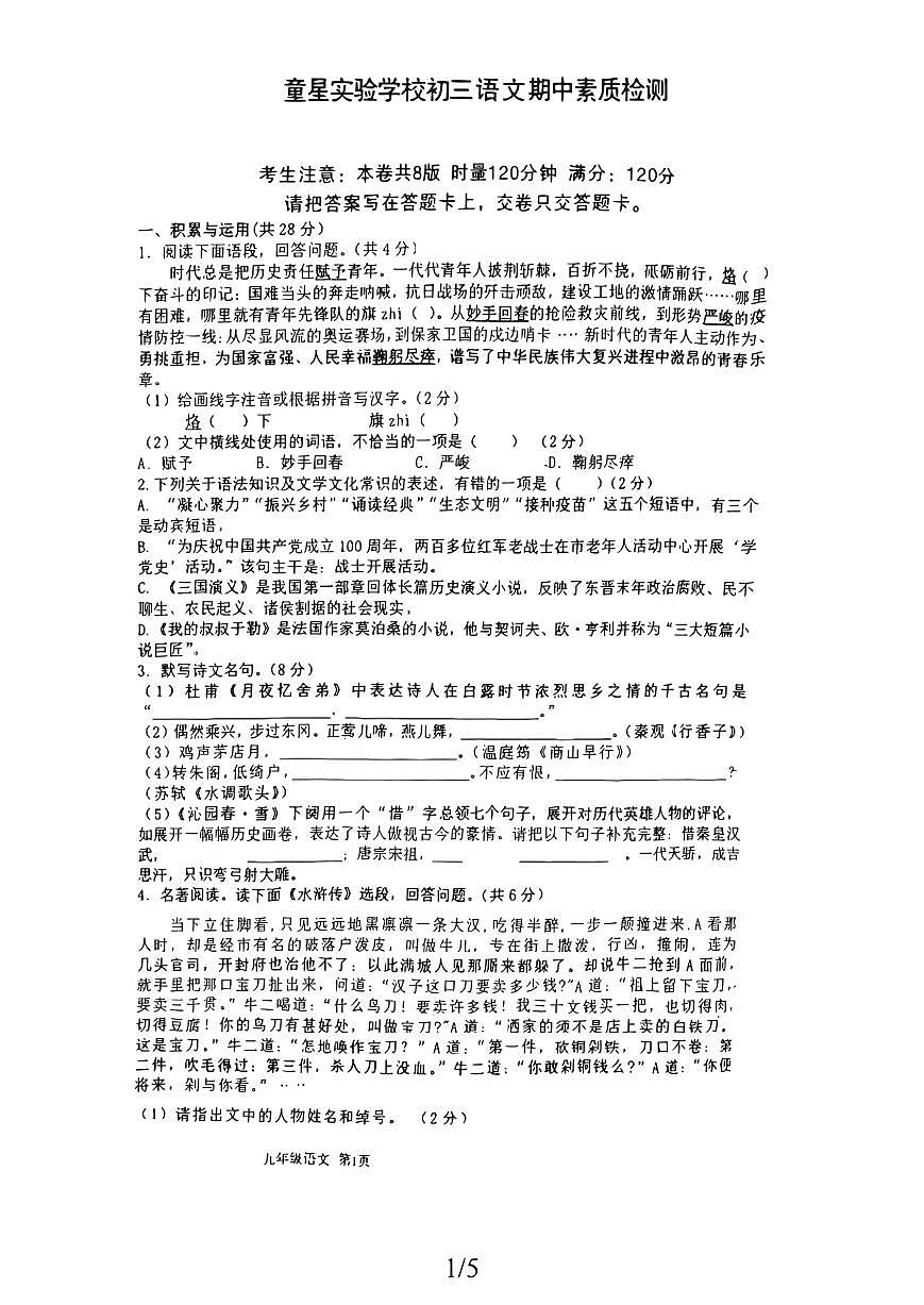 湖南省衡阳市耒阳市童星实验学校2025-2026学年九年级上学期11月期中语文试题第1页
