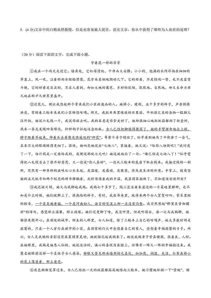 2024-2025学年七年级语文上学期期末考点大串讲专题09 散文阅读（高频考点）（考题猜想）（原卷版）第3页