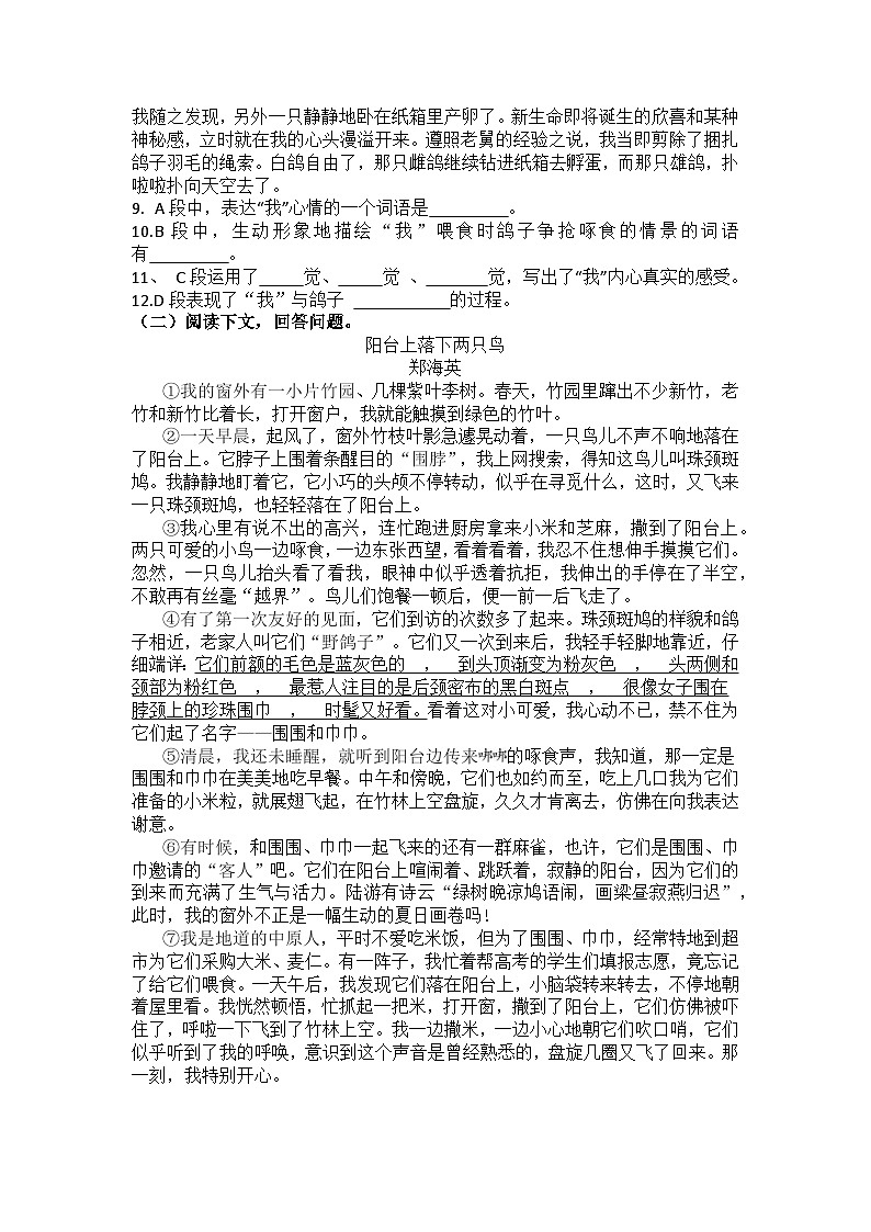 统编版语文七年级上册第18课我的白鸽练习题（含答案）第3页