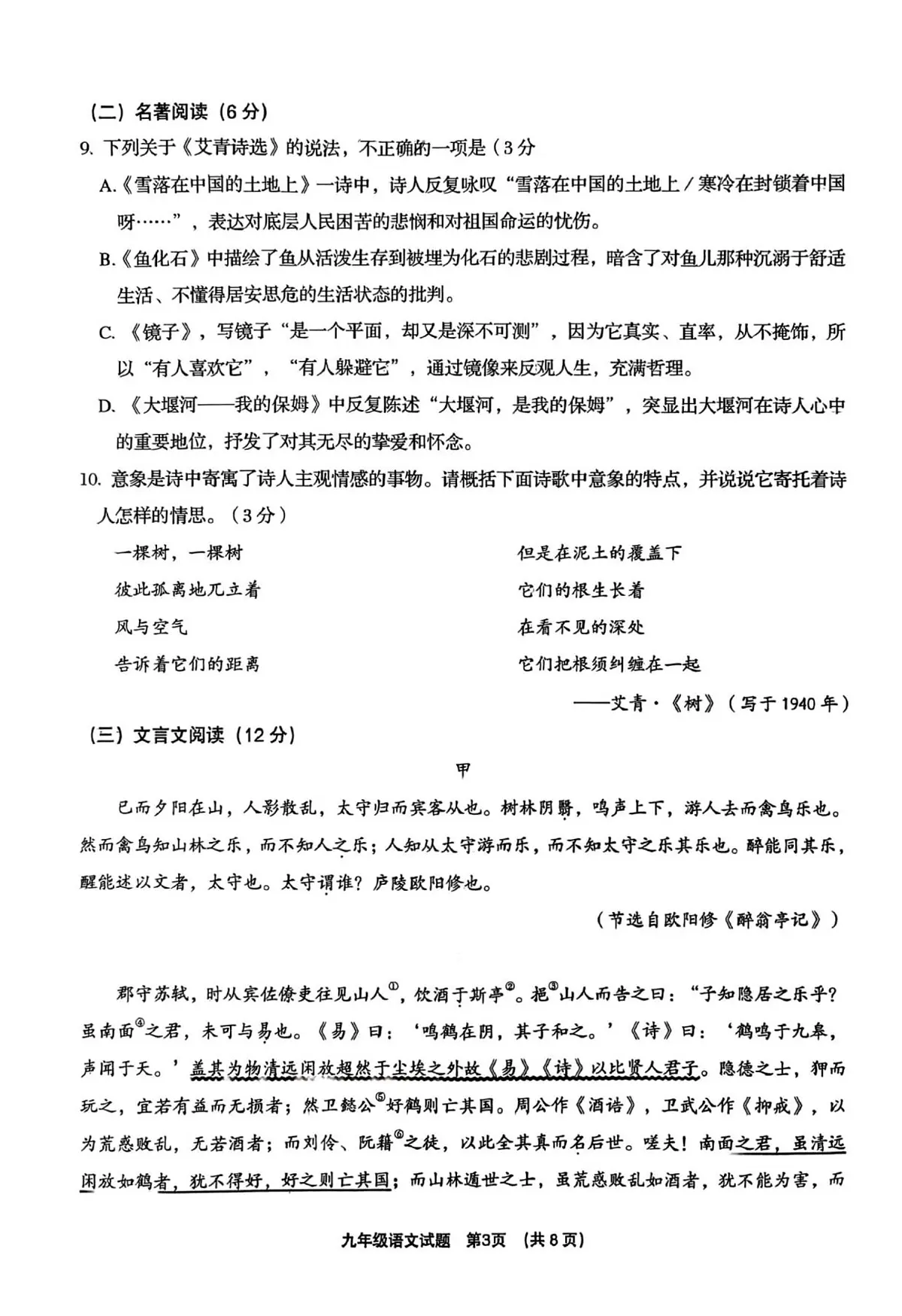 山东省青岛市胶州市2025-2026学年九年级上学期期中考试 语文试卷第3页