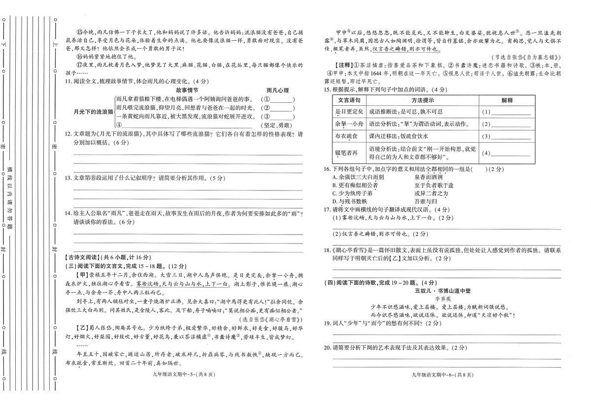 陕西省汉中市南郑区2025-2026学年九年级上学期11月期中联考 语文试题第3页