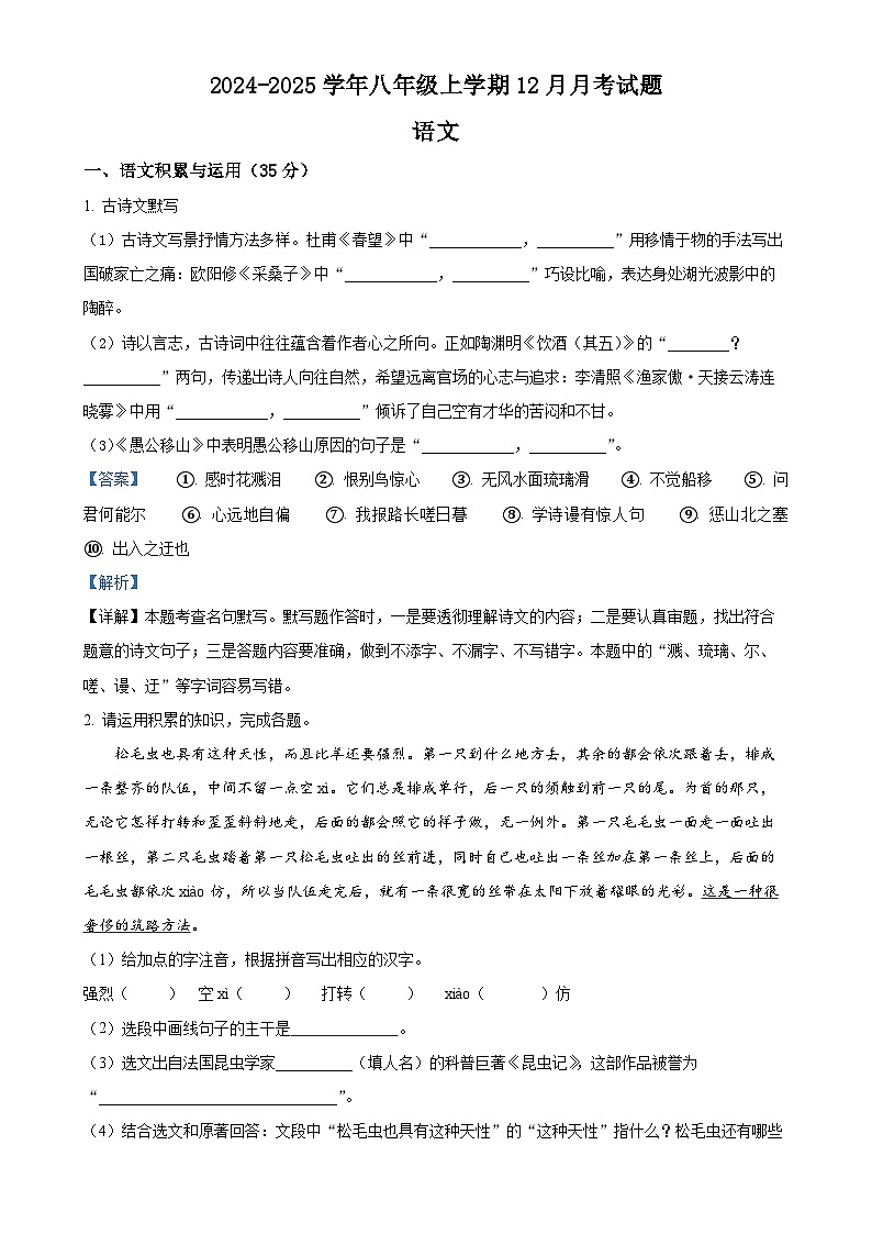 安徽省涡阳县丹城学区2024-2025学年八年级上学期期末语文试题（解析版）-A4第1页
