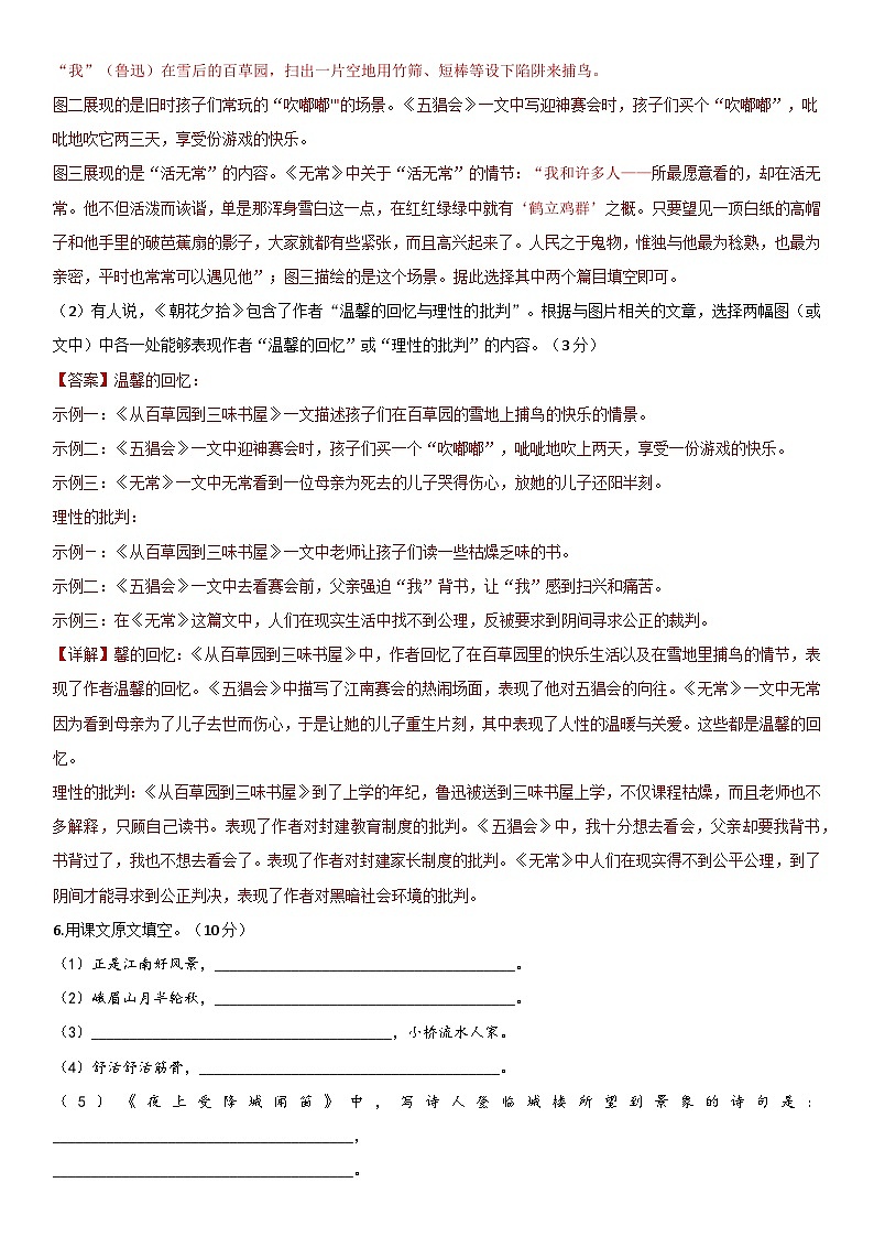 【七上】2023-2024启秀月考1（解析版）第3页