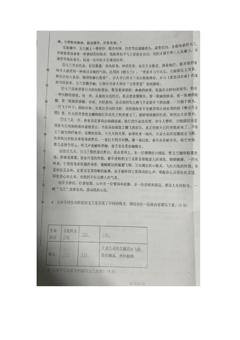 河南省郑州经济技术开发区外国语学校2025-2026学年七年级上学期期中语文试题第3页