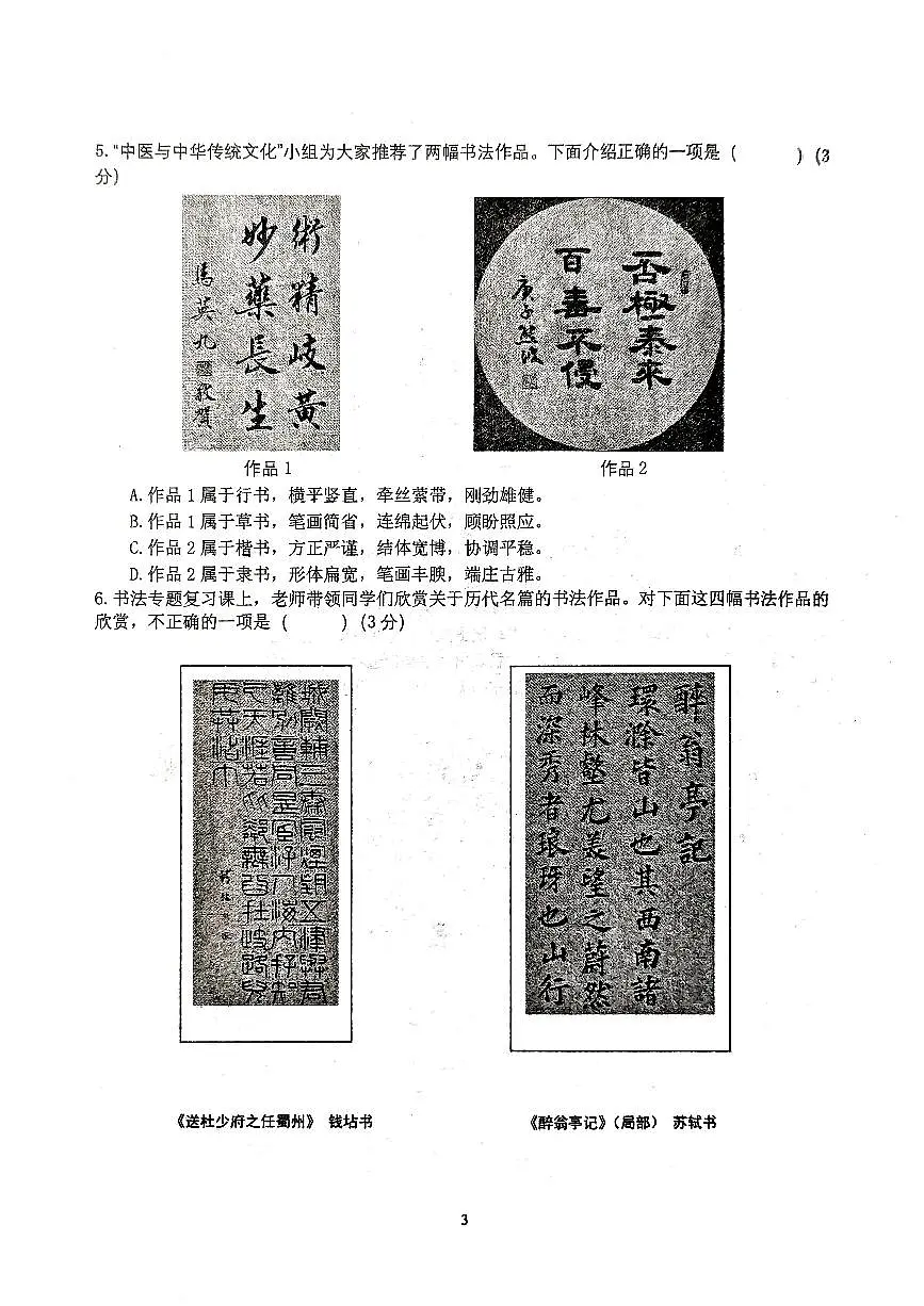 2025北京北师大附中初三（上）统练十二语文试卷第3页