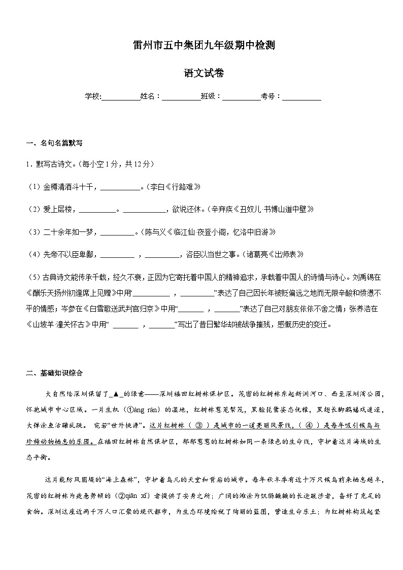 广东省湛江市雷州市第五中学集团2025-2026学年九年级上学期11月期中语文试题第1页