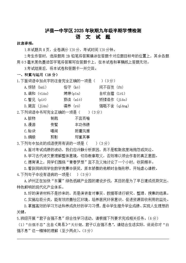 四川省泸县第一中学2026届九年级上学期期中考试语文试卷第1页