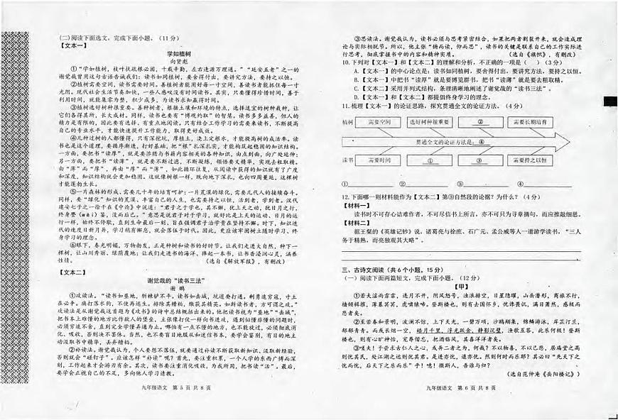 河南省信阳市平桥区2025-2026学年上期期中测试九年级语文试卷及答题卡第3页