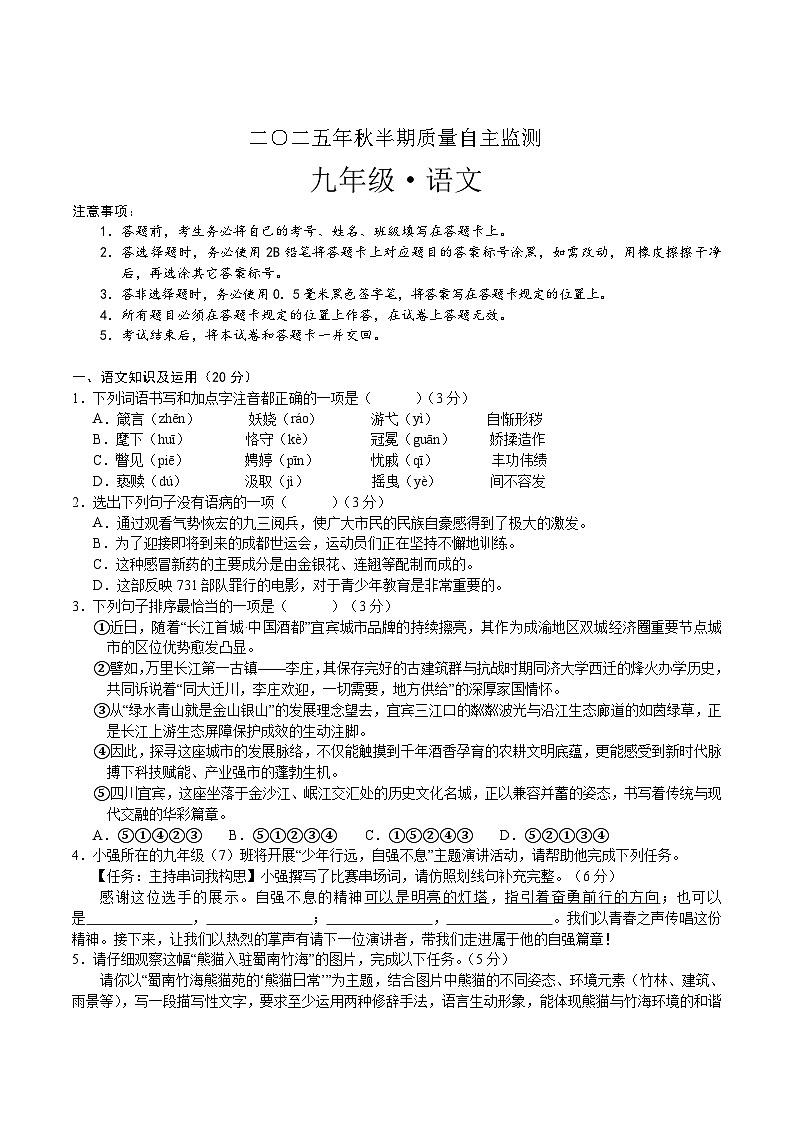 四川省宜宾市长宁县2026届九年级上学期期中考试语文试卷第1页