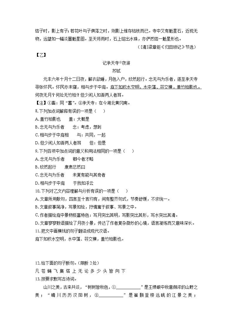 山东省济宁市泗水县2024-2025学年八年级上学期期中考试语文试卷（学生版）第3页