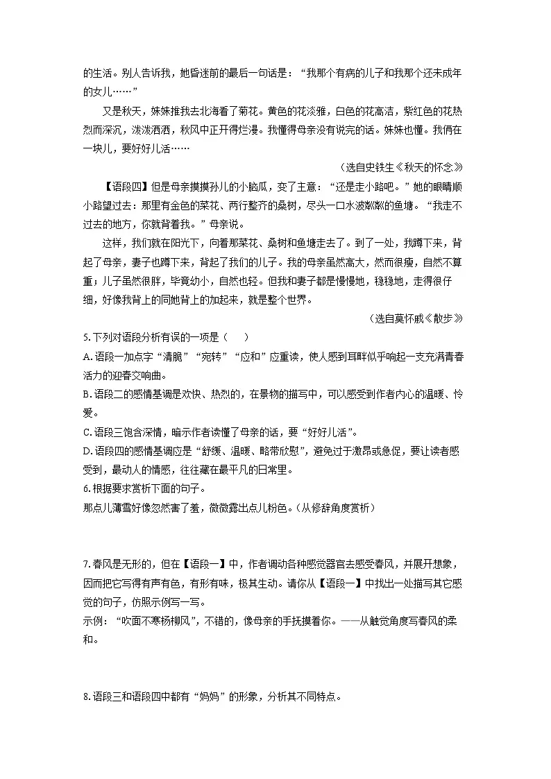 河南省南阳市桐柏县2025-2026学年七年级上学期期中考试语文试卷（学生版）第3页