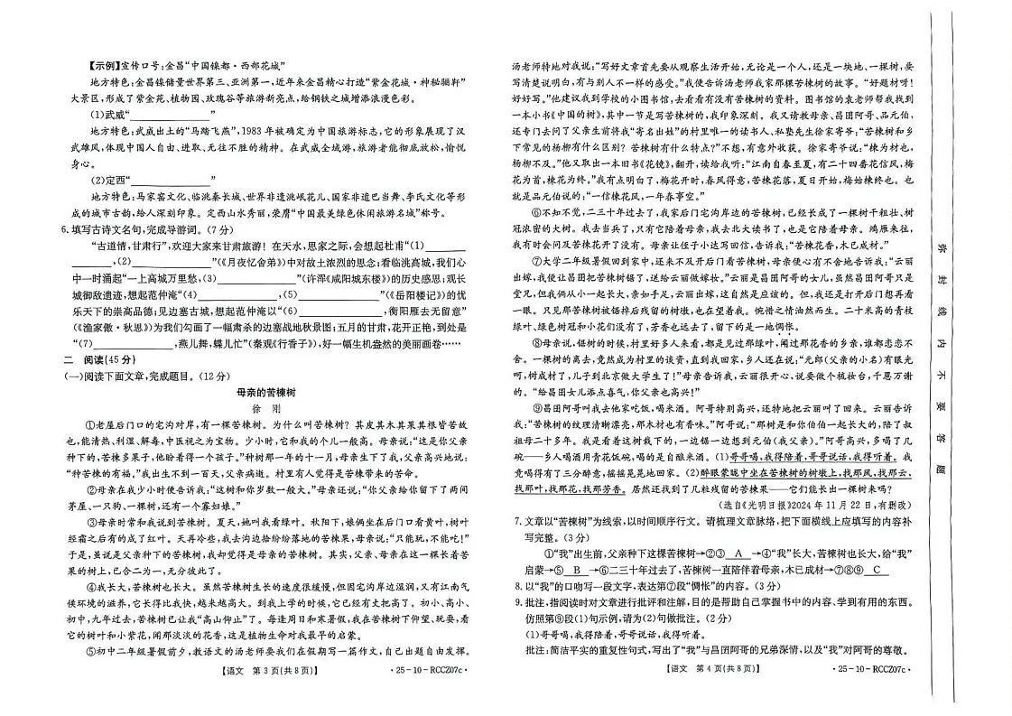 甘肃省定西市临洮县2024-2025学年九年级上学期1月期末语文试题第2页
