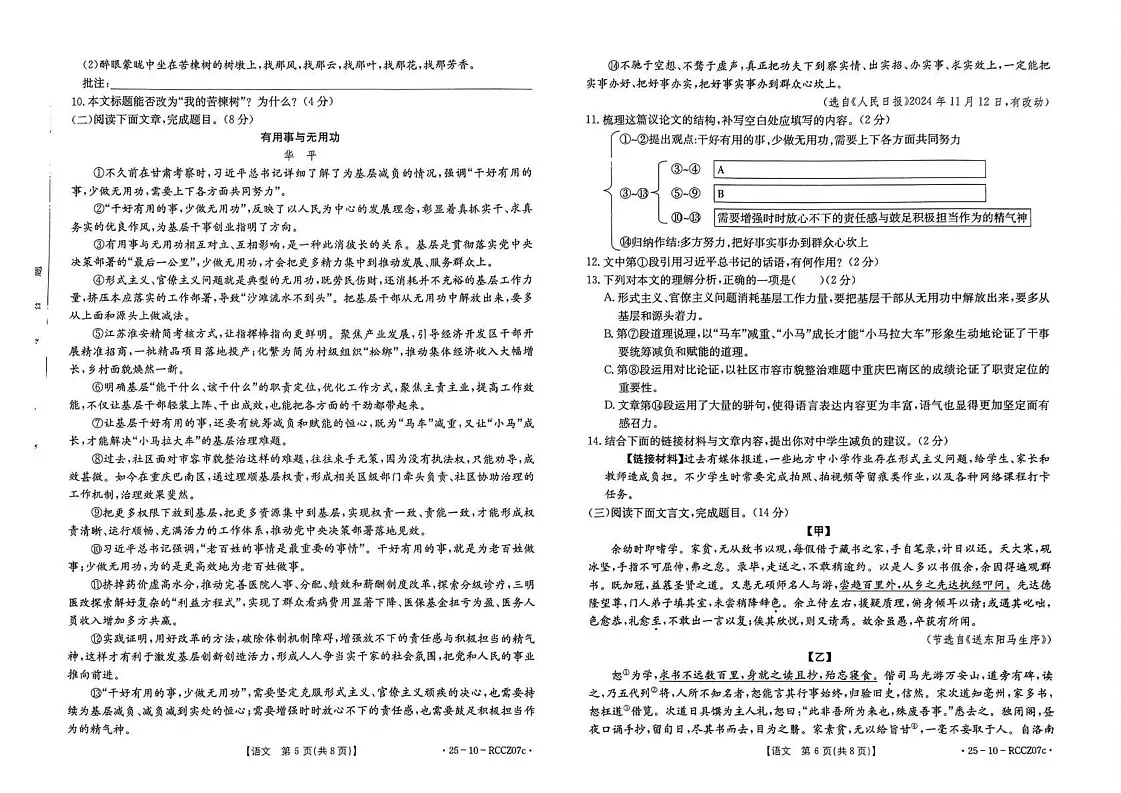 甘肃省定西市临洮县2024-2025学年九年级上学期1月期末语文试题第3页
