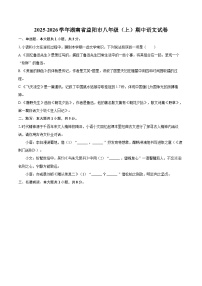 2025-2026学年湖南省益阳市八年级（上）期中语文试卷-自定义类型