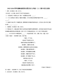 2025-2026学年湖南省邵阳市武冈市九年级（上）期中语文试卷-自定义类型