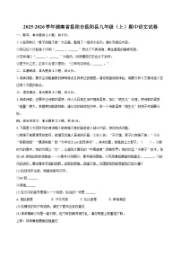 2025-2026学年湖南省岳阳市岳阳县九年级（上）期中语文试卷-自定义类型