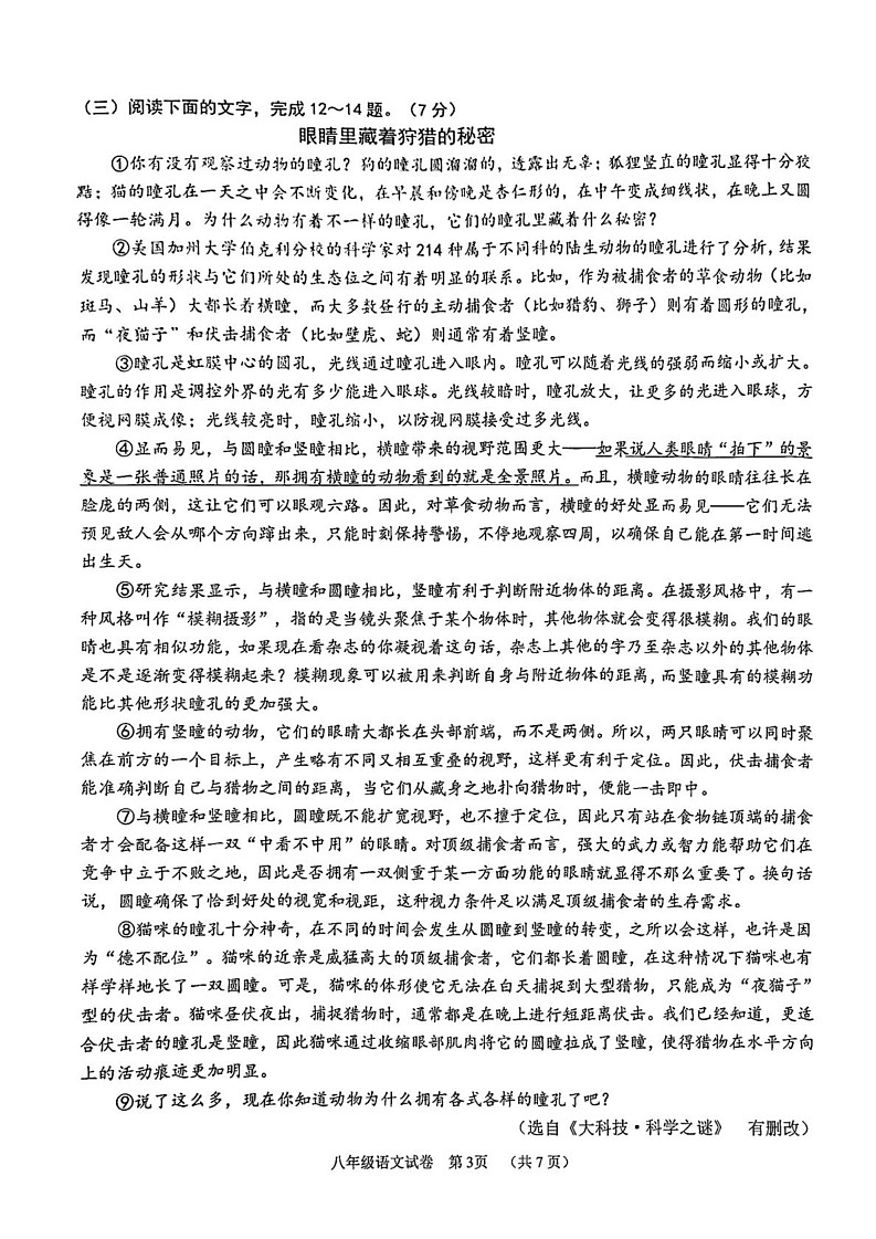 吉林省长春市二道区2024—2025学年八年级上学期期末考试语文试题第3页