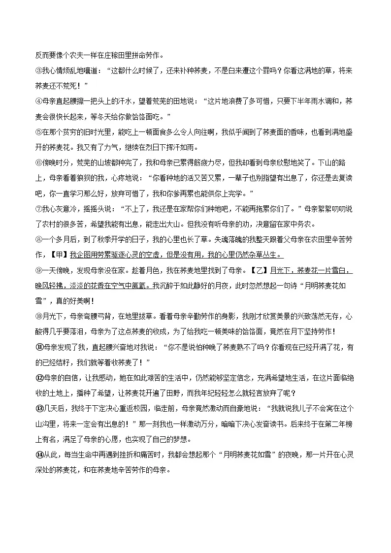 2025-2026学年河南省驻马店十中七年级（上）期中语文试卷-自定义类型第3页