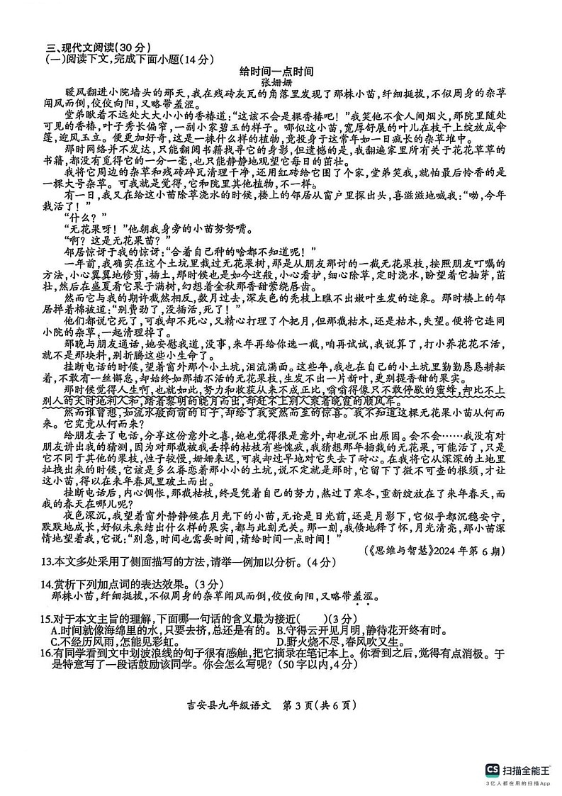 江西省吉安市吉安县2024-2025学年九年级上学期1月期末语文试题第3页