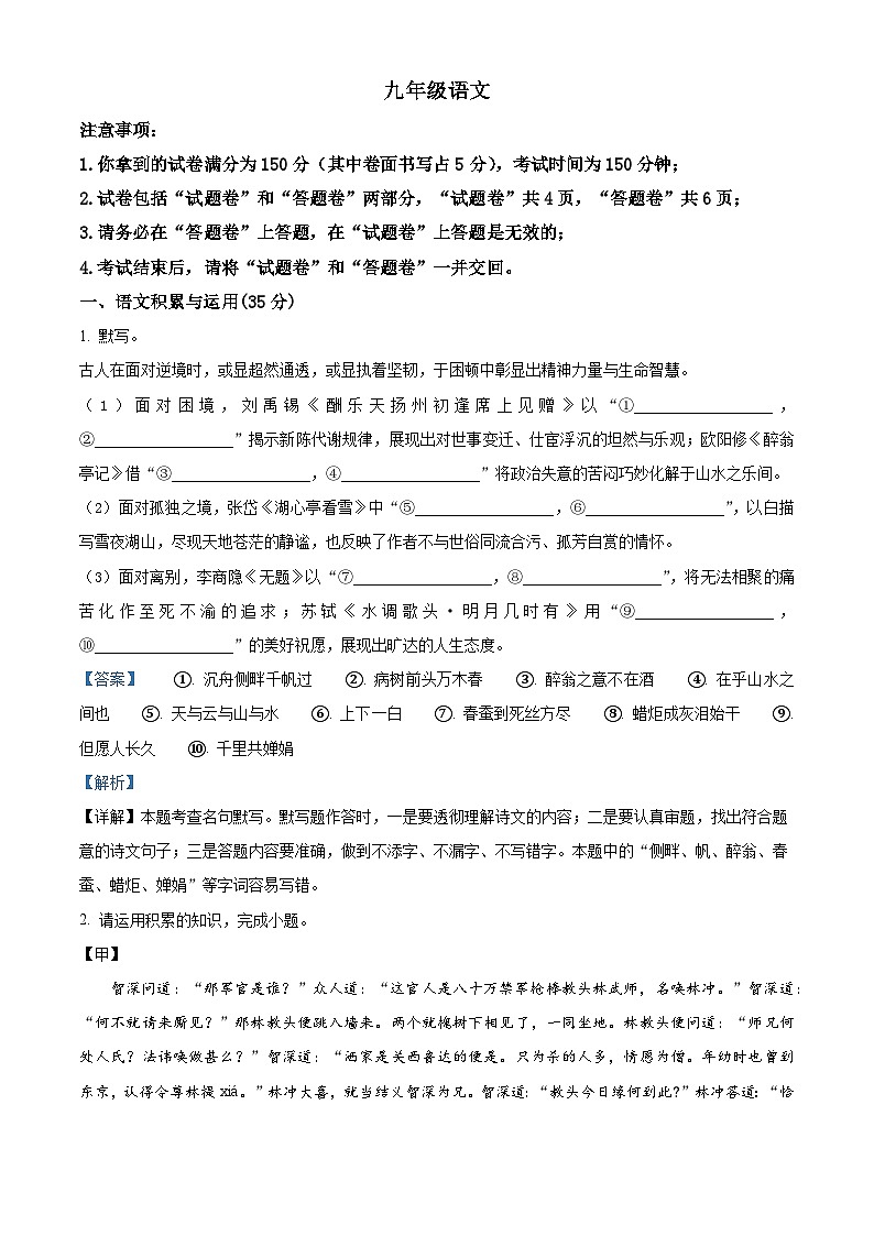 安徽省阜阳市2025-2026学年九年级上学期期中语文试题（含答案）（解析版）第1页