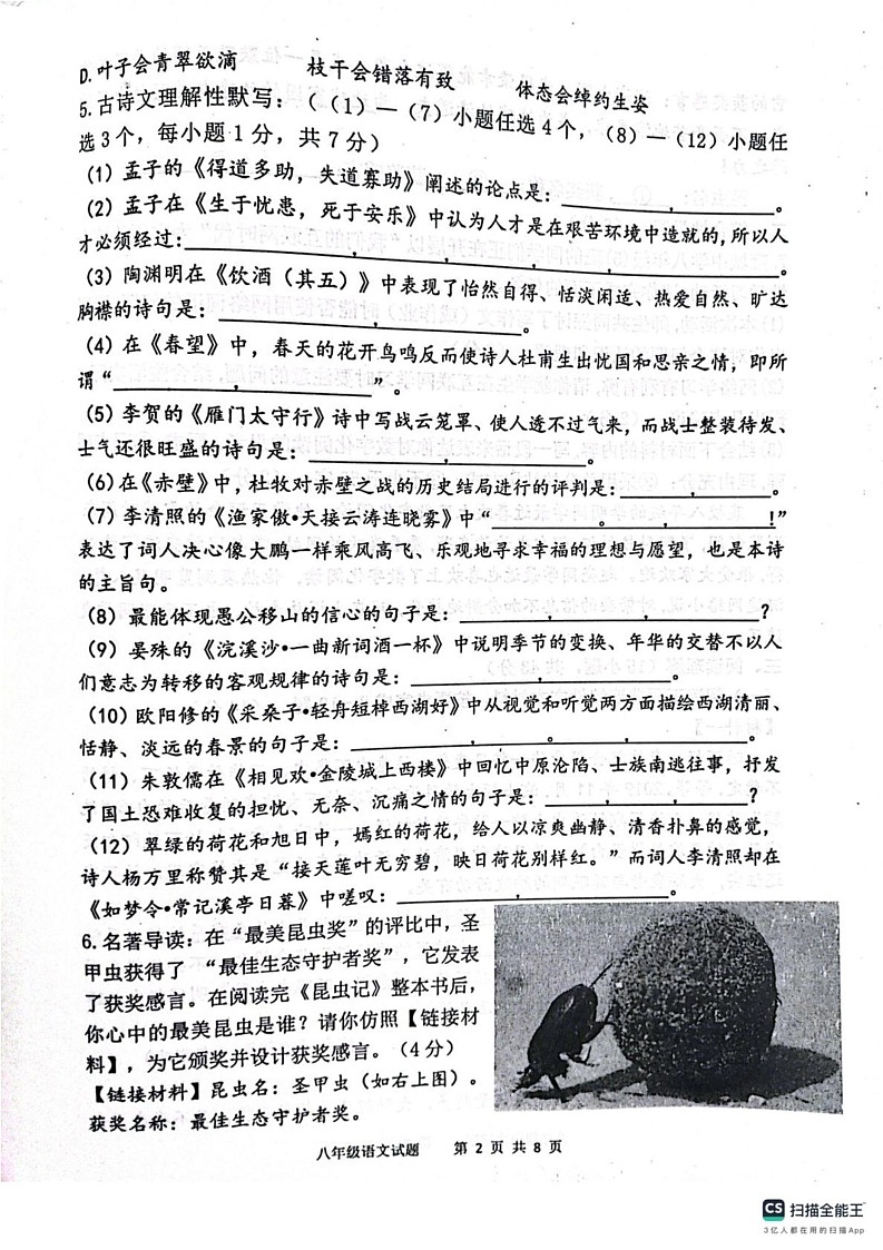 陕西省宝鸡市凤翔区2024-2025学年八年级上学期期末考试语文试题第2页