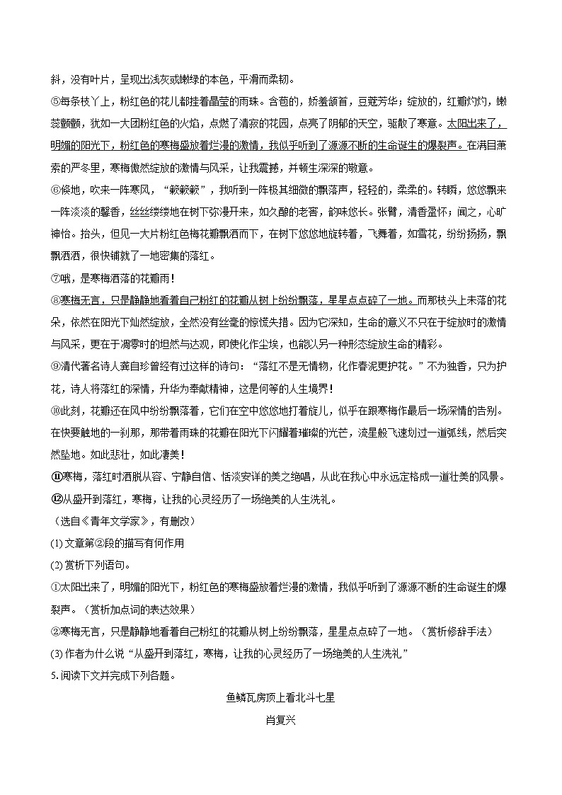 2025-2026学年山东省威海市火炬高技术产业开发区七年级（上）期中语文试卷（五四学制）-自定义类型第3页