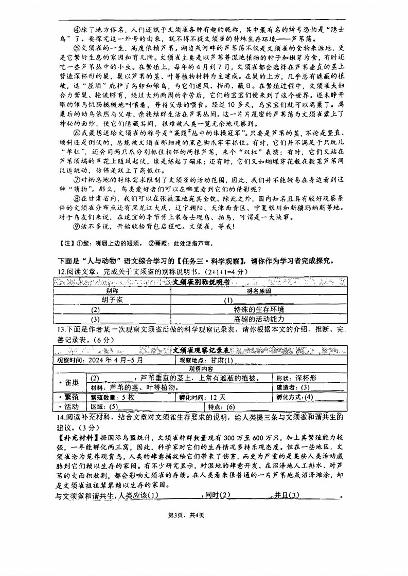 上海市延安初级中学2024-2025学年七年级上学期期末考试语文试题第2页