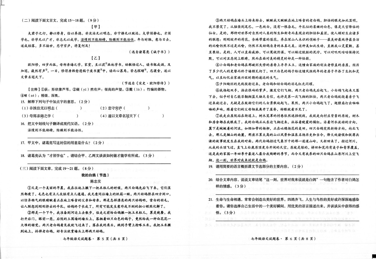 云南省昆明市寻甸回族彝族自治县2024-2025学年七年级上学期1月期末语文试题第3页