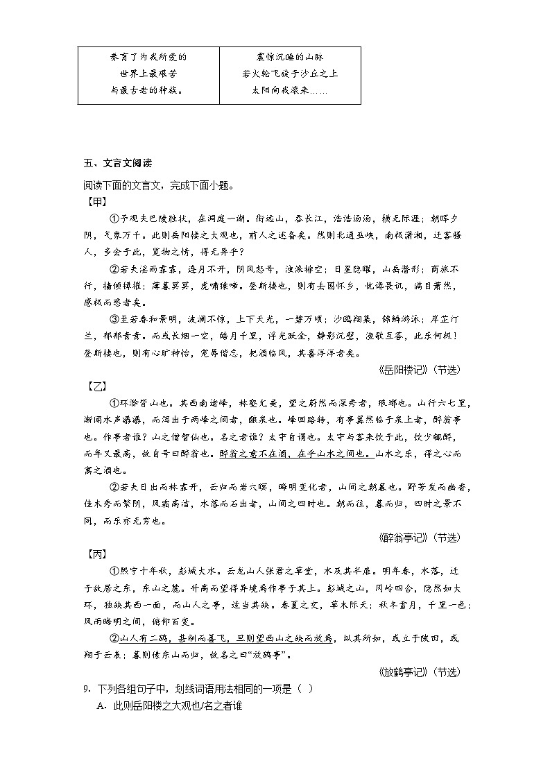 广东省惠州市大亚湾联考2025-2026学年九年级上学期期中语文试题（含答案）第3页