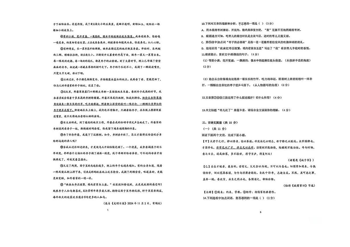 河南省实验中学2024-2025学年七年级上学期月考语文试卷第3页