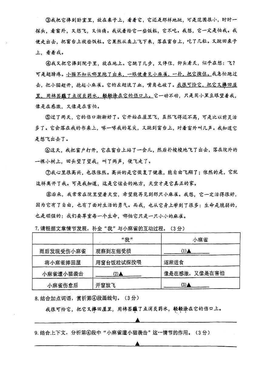 浙江省温州市龙湾区海城中学2025—2026学年七年级上学期12月月考语文卷第3页