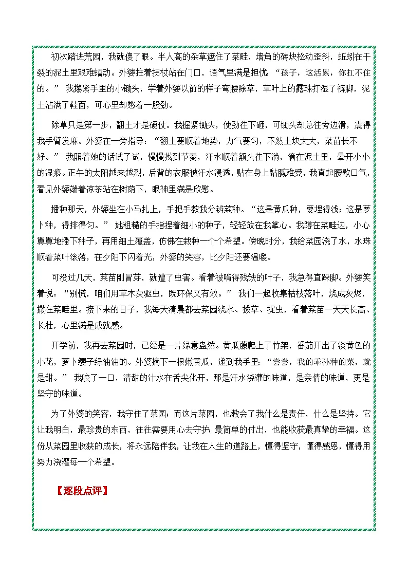 押题专辑一：道押题 解题 范文 点评-2025-2026学年九年级语文上学期期末作文备考押题讲练（统编版）第3页