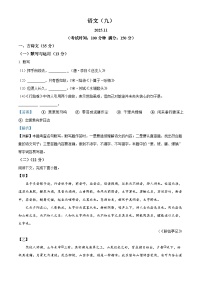 上海市浦东新区名校2025-2026学年九年级（五四学制）上学期11月期中联考语文试题（解析版）