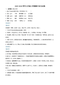 四川省绵阳市盐亭县2025-2026学年九年级上学期期中语文试题（解析版）