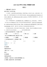 四川省绵阳市游仙区2025-2026学年九年级上学期期中语文试题（解析版）