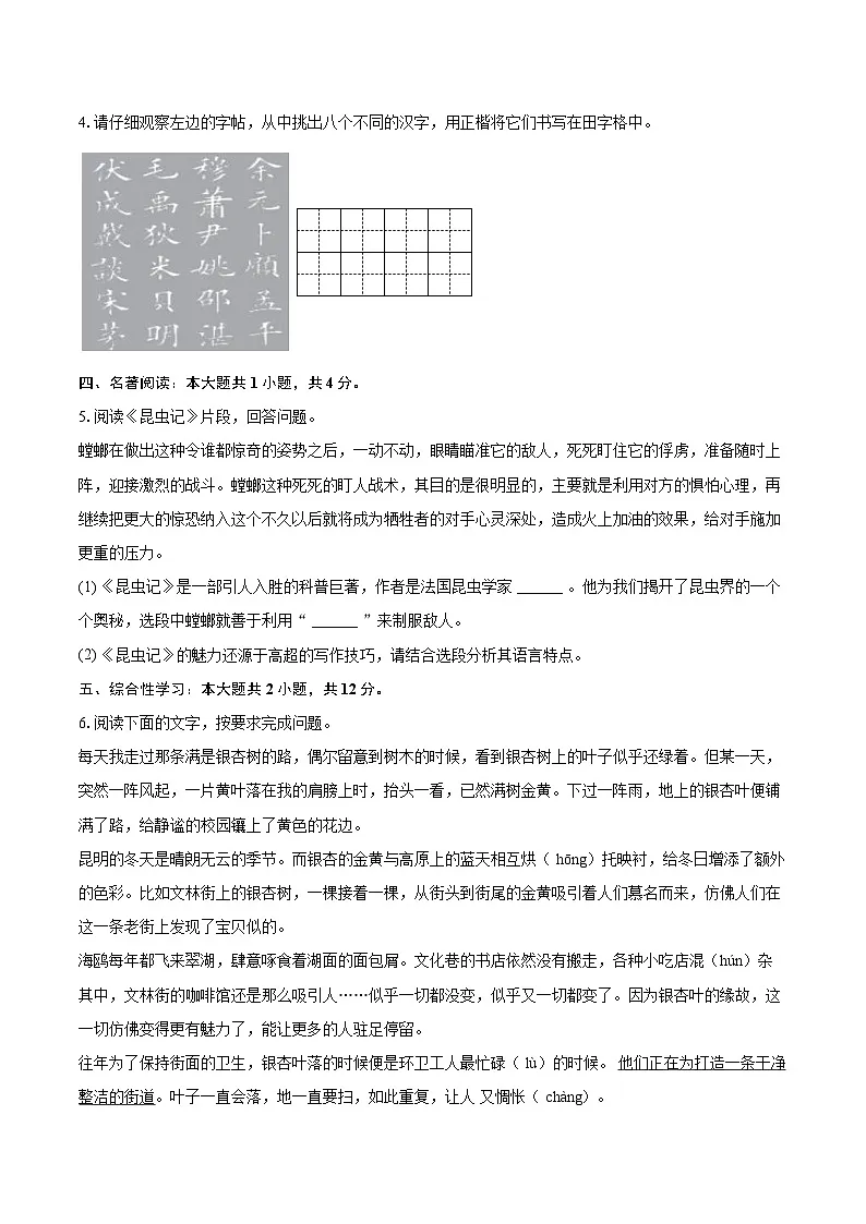 2024-2025学年云南省西双版纳一中等四校八年级（上）期末语文试卷-自定义类型第2页