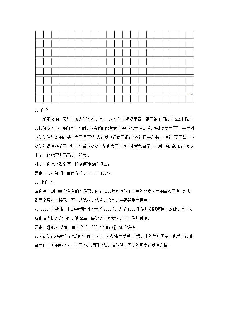 小作文-2026年中考语文一轮专题复习讲练（全国通用）第2页