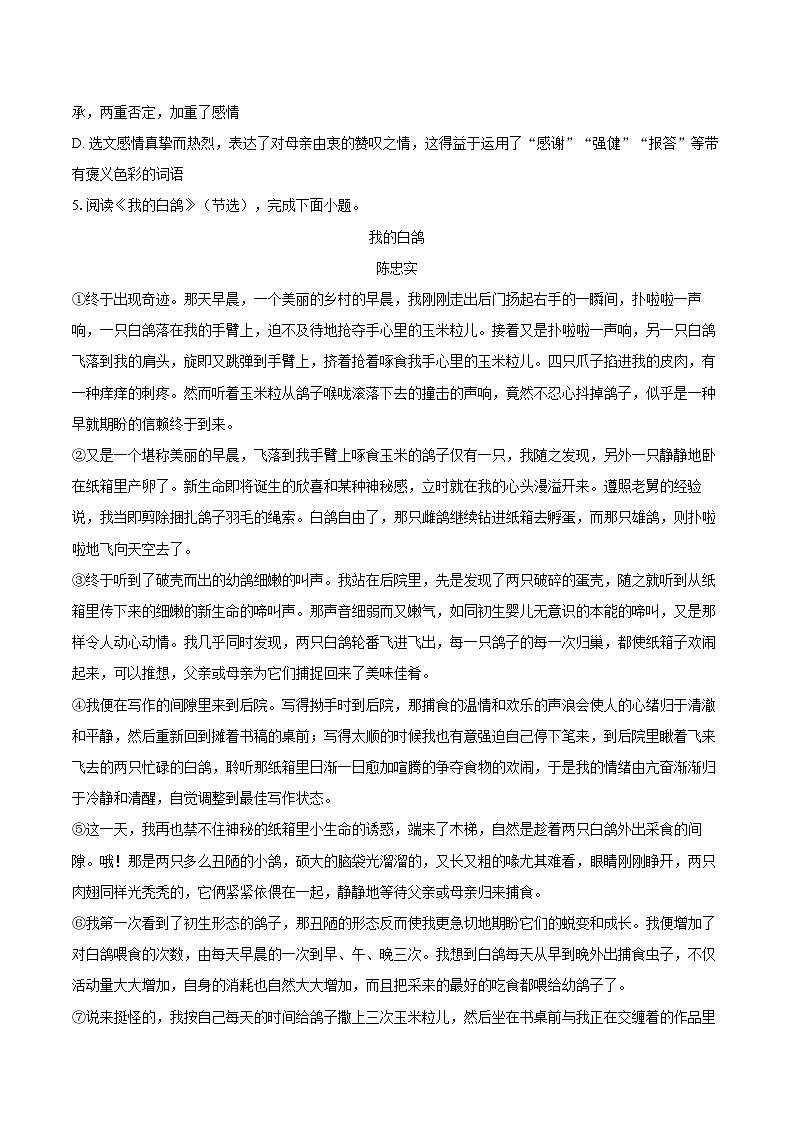 2024-2025学年山东省枣庄市台儿庄区七年级（上）期末语文试卷-自定义类型第3页