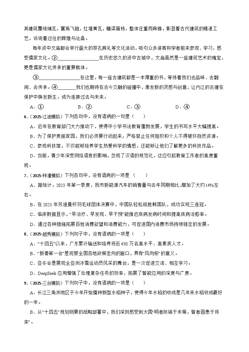 语句、修辞、文学常识、语言表达-2026年中考语文一轮复习讲练（全国通用）附答案解析第2页