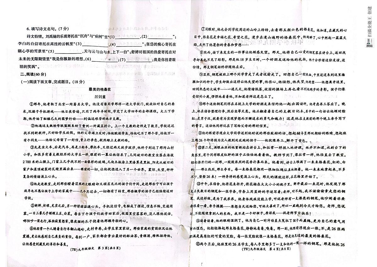 甘肃省陇南市西和县2024-2025学年九年级上学期期末学情检测语文试卷第2页
