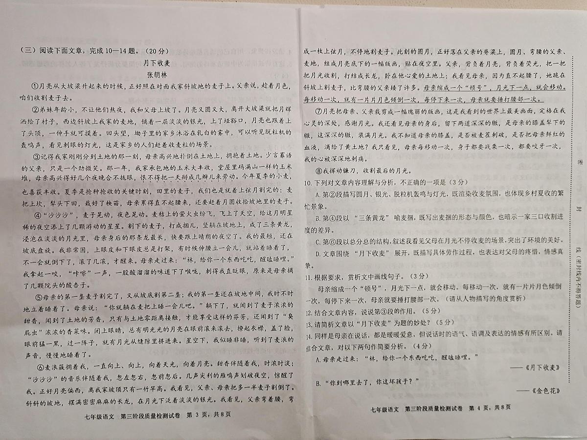 福建省三明市宁化县2025-2026学年七年级上学期三次阶段测试语文试题（月考）第2页