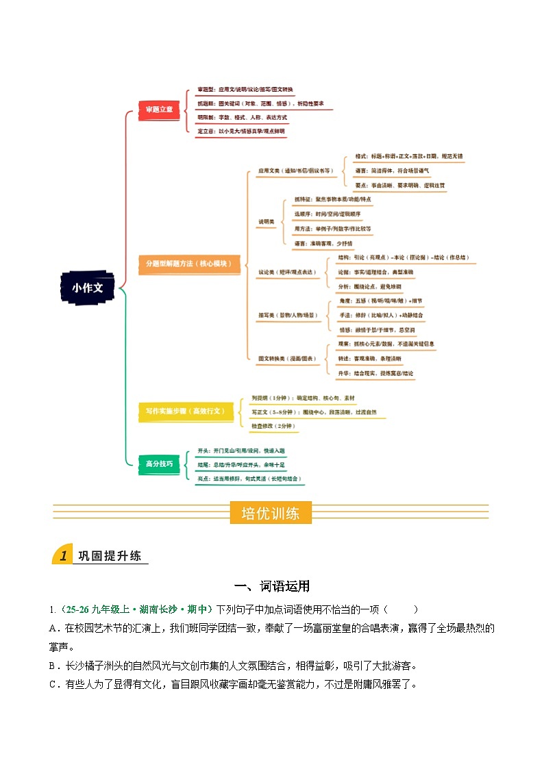 寒假作业05 词语运用、标点符号、小作文（原卷版）第2页