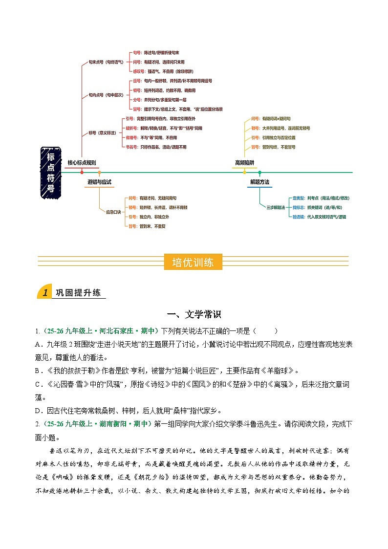 寒假作业08 文学常识、基础知识综合、标点符号（原卷版）第2页